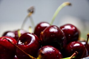 coltivazione ciliegie