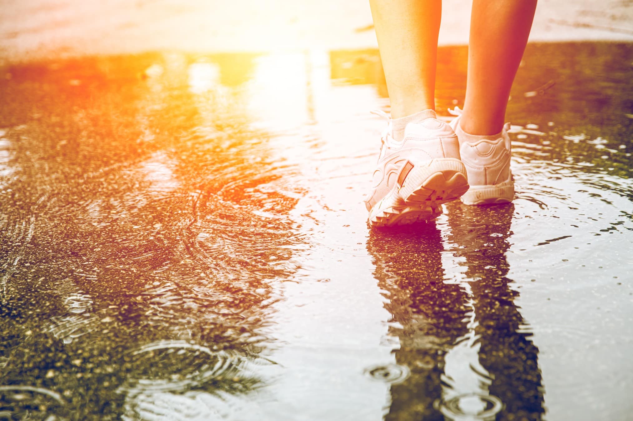 insidie aprire attività