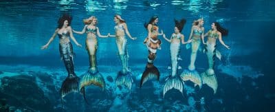 lavorare in un parco acquatico